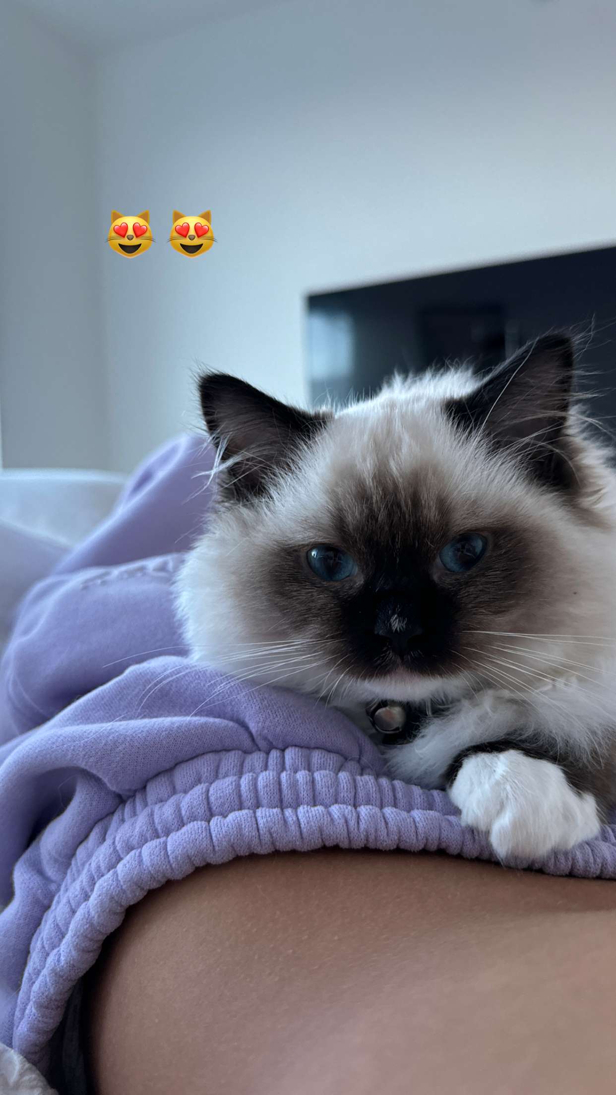 breckiehill snapchat image archive image