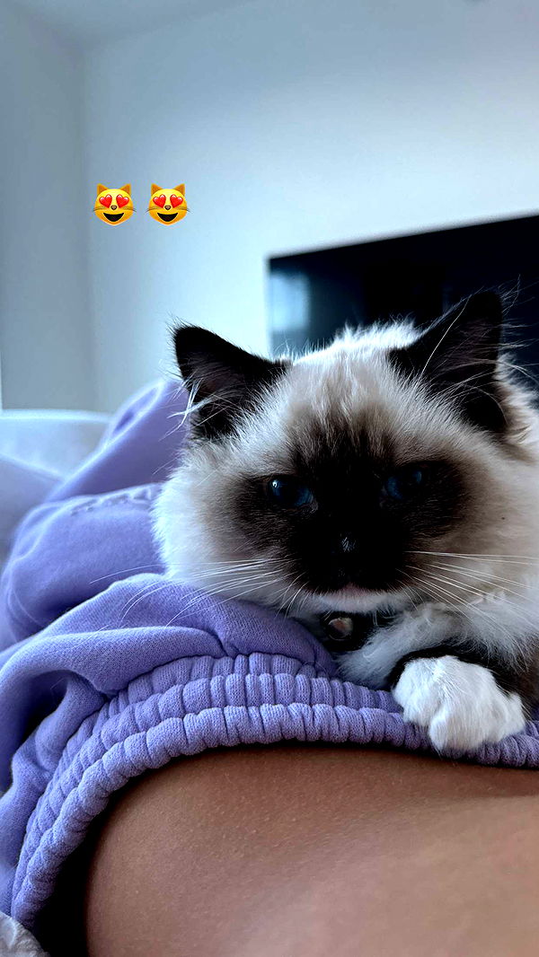 breckiehill image ~ Altpins