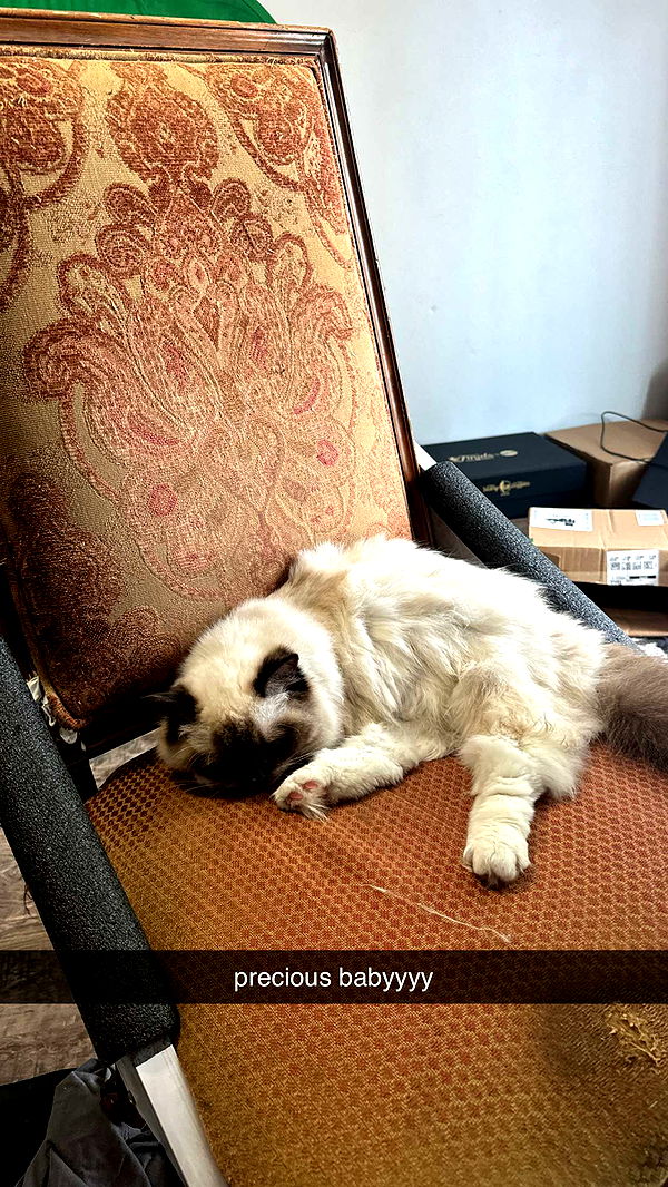 breckiehill image ~ Altpins