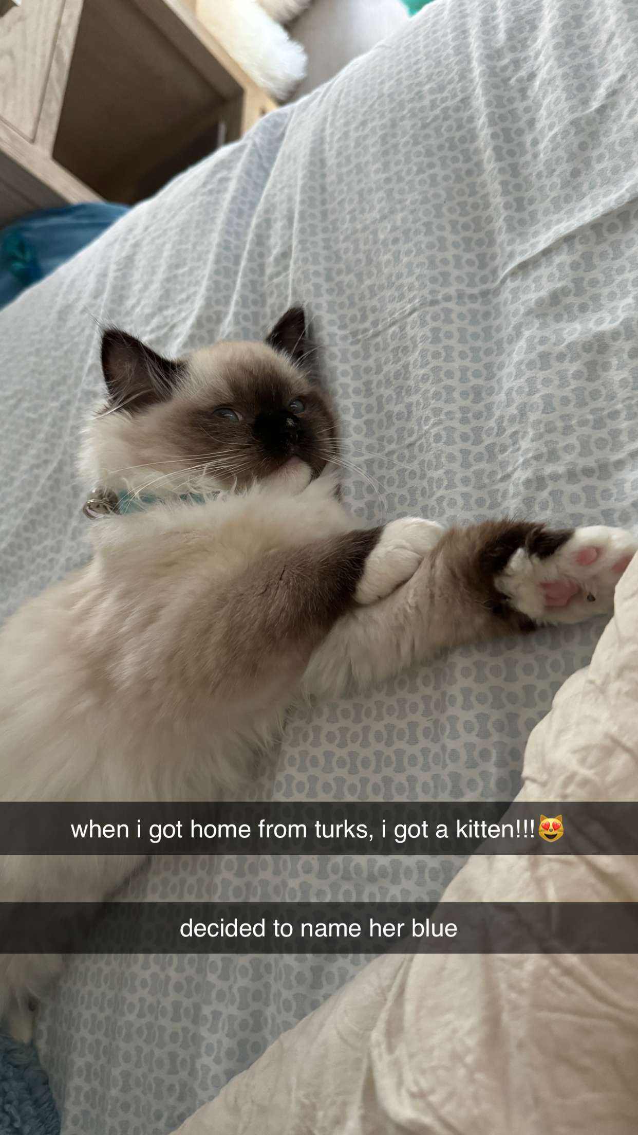 breckiehill snapchat image archive image