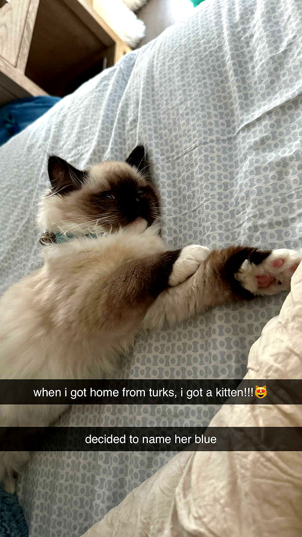 breckiehill image ~ Altpins