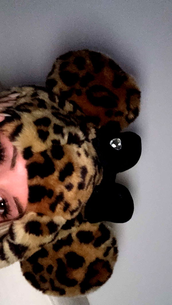 breckiehill image ~ Altpins