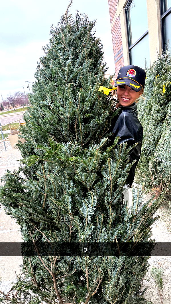 breckiehill image ~ Altpins