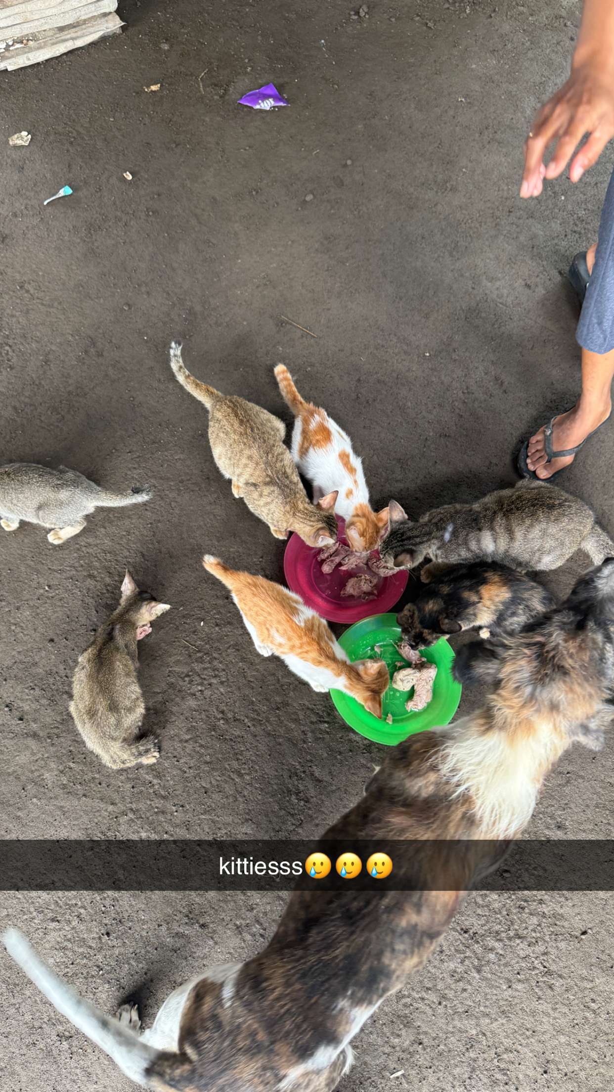 breckiehill snapchat image archive image