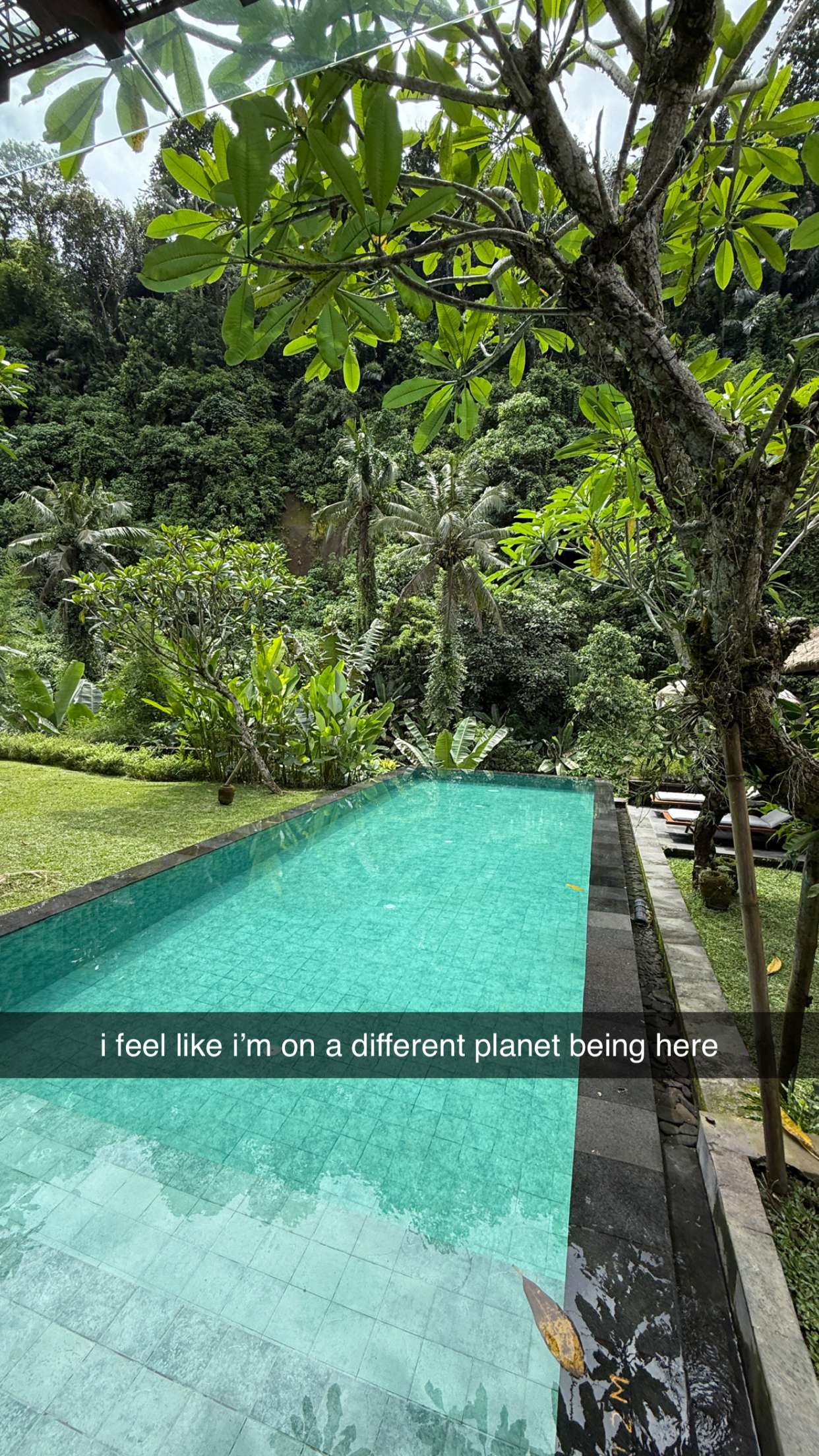 breckiehill snapchat image archive image