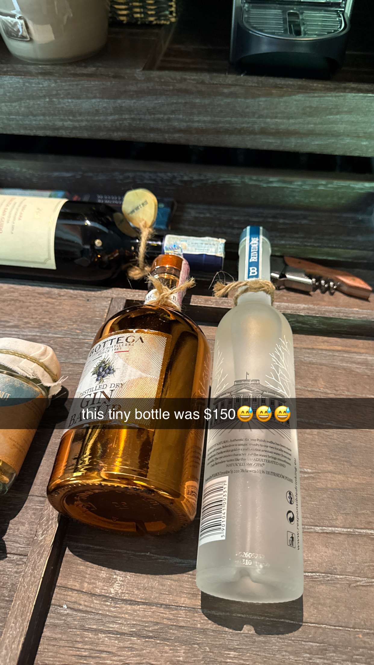 breckiehill snapchat image archive image