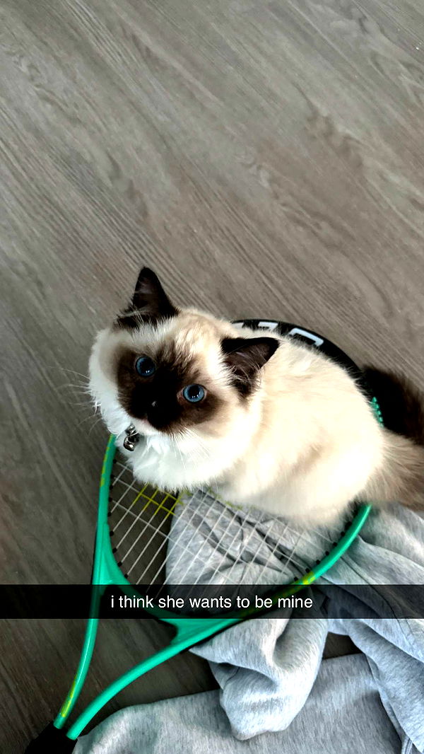 breckiehill image ~ Altpins