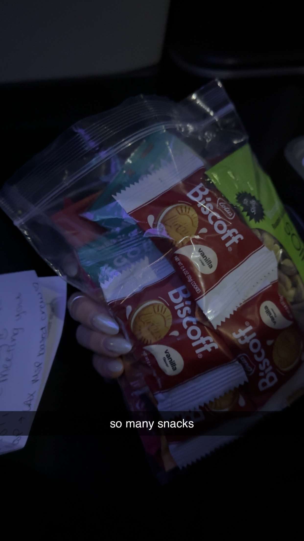 breckiehill snapchat image archive image