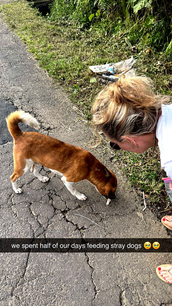 breckiehill image ~ Altpins