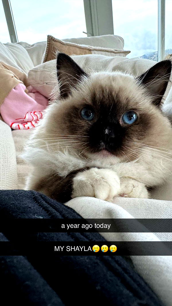 breckiehill image ~ Altpins