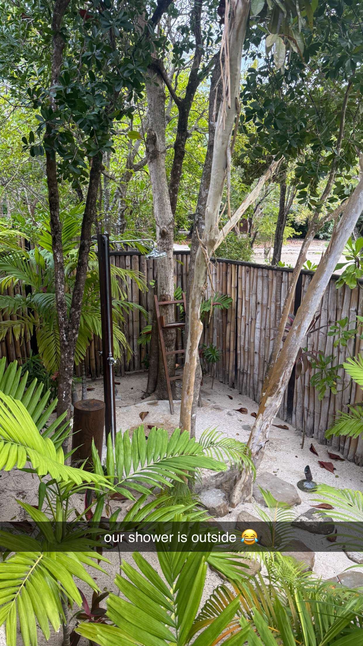 breckiehill snapchat image archive image