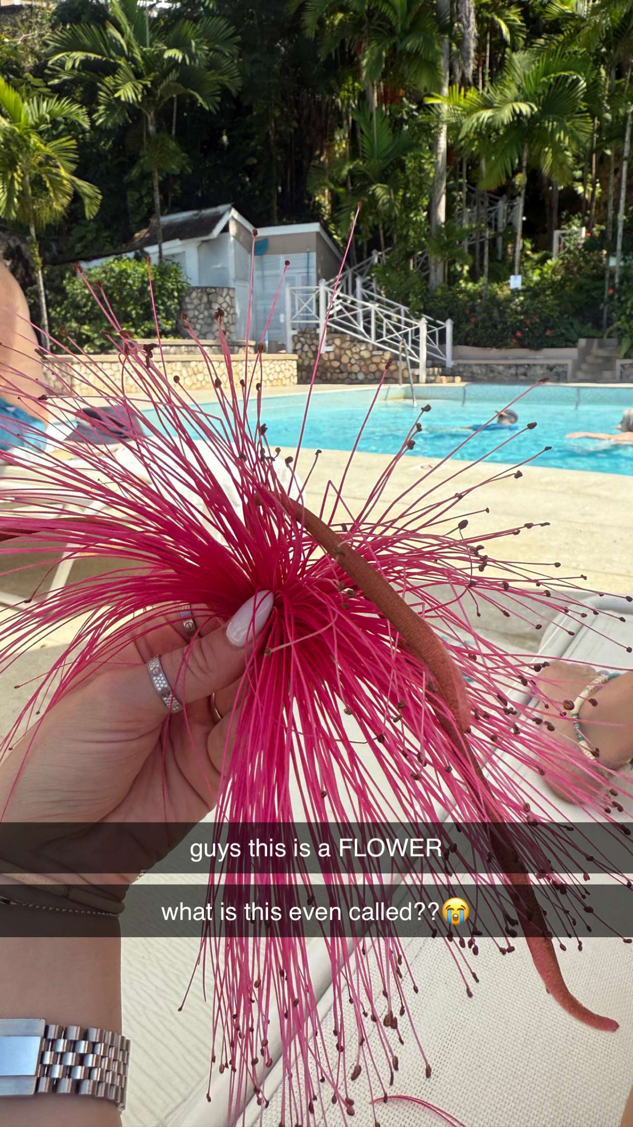 breckiehill snapchat image archive image