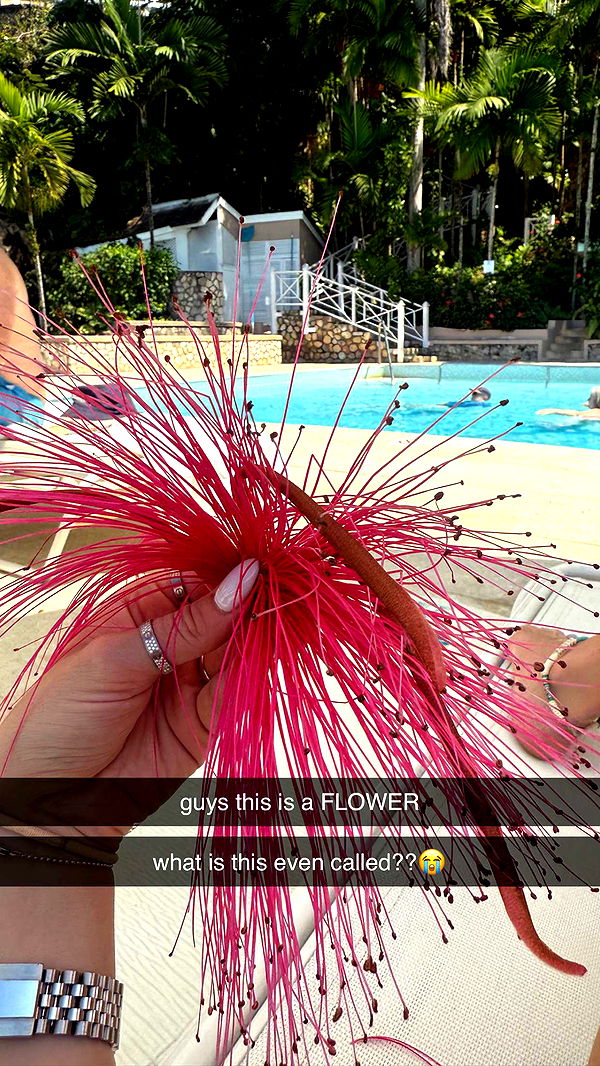 breckiehill image ~ Altpins