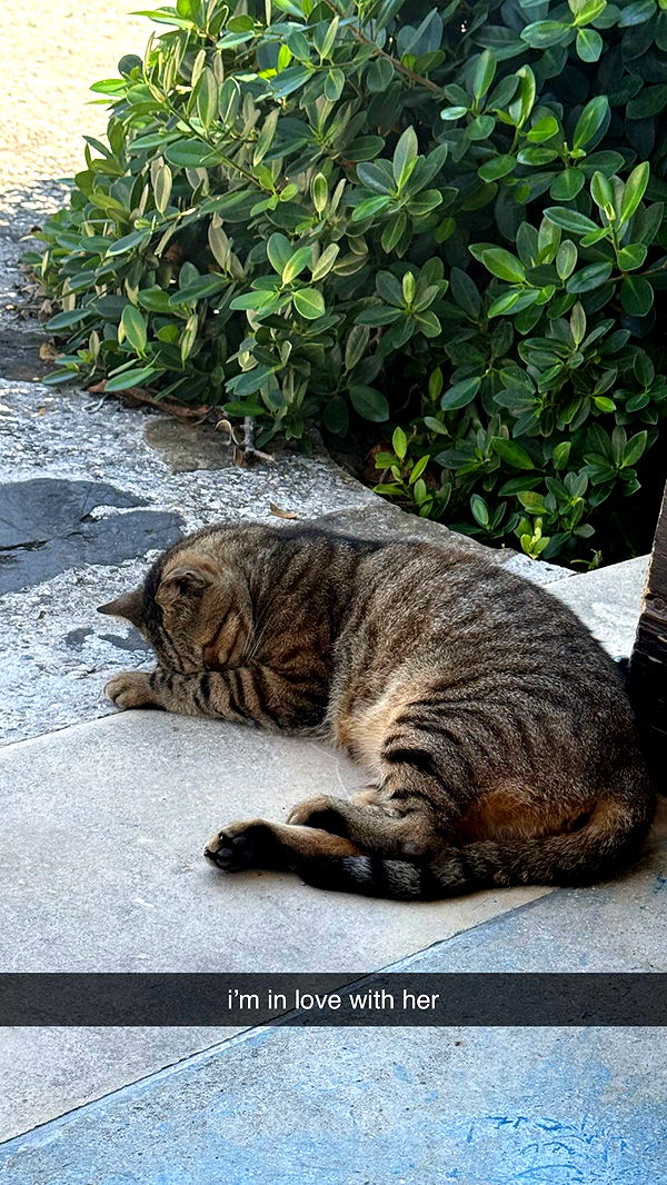 breckiehill image ~ Altpins