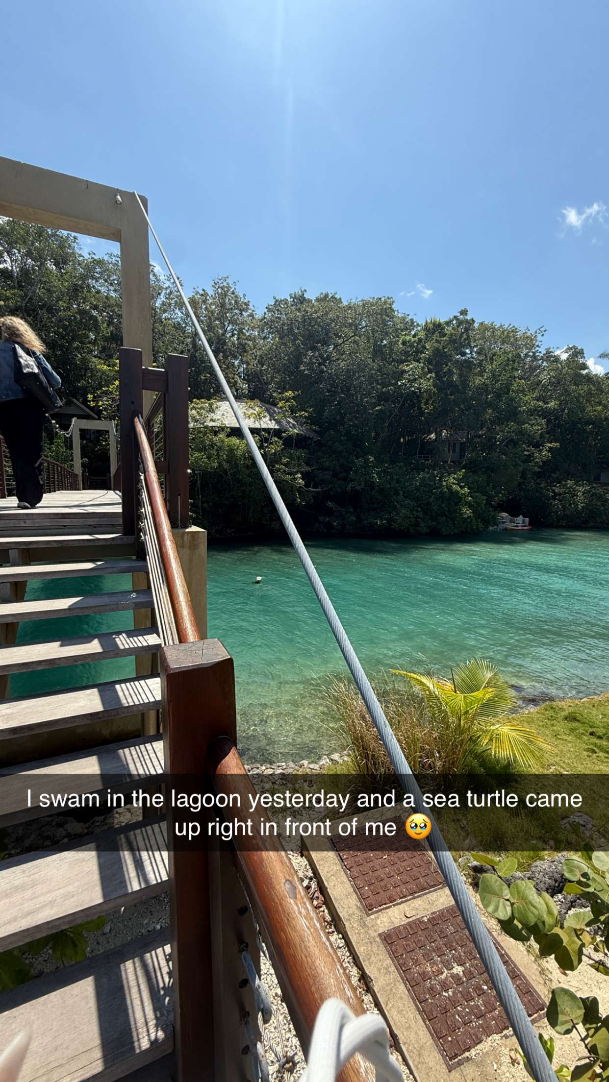 breckiehill snapchat image archive image