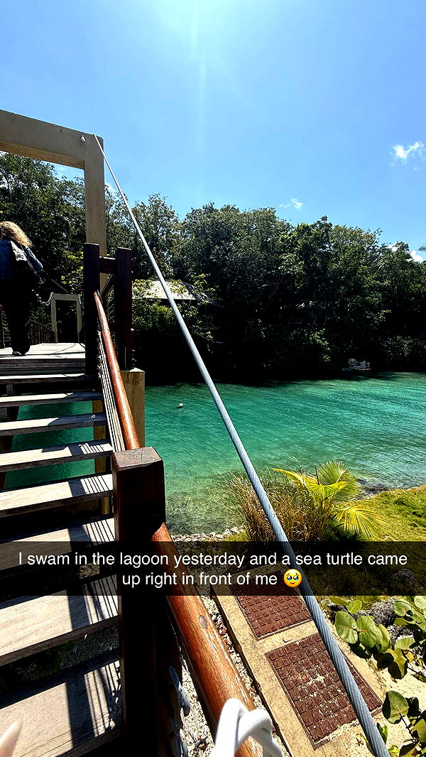 breckiehill image ~ Altpins