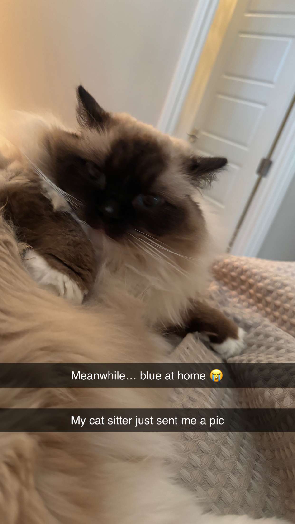 breckiehill snapchat image archive image