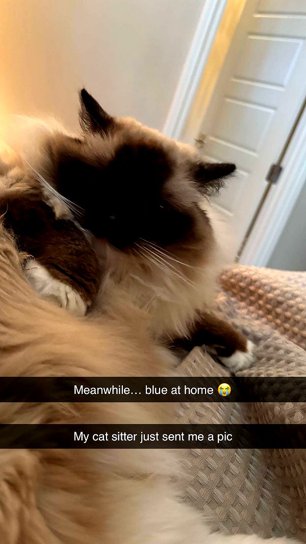 breckiehill image ~ Altpins