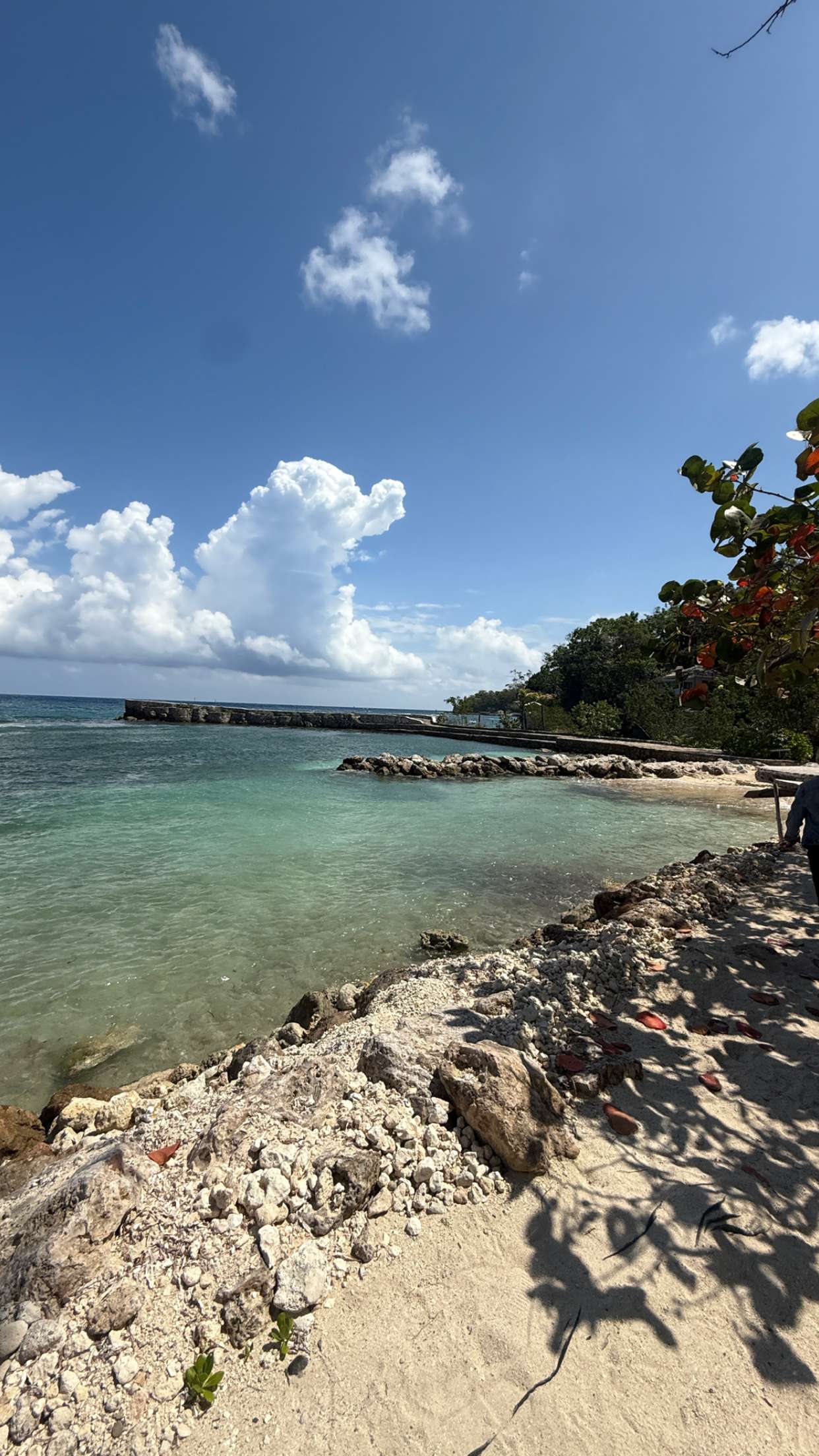 breckiehill snapchat image archive image