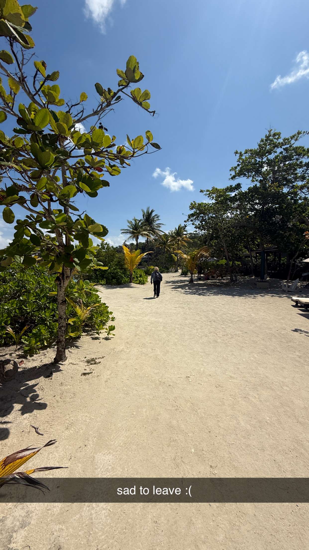 breckiehill snapchat image archive image