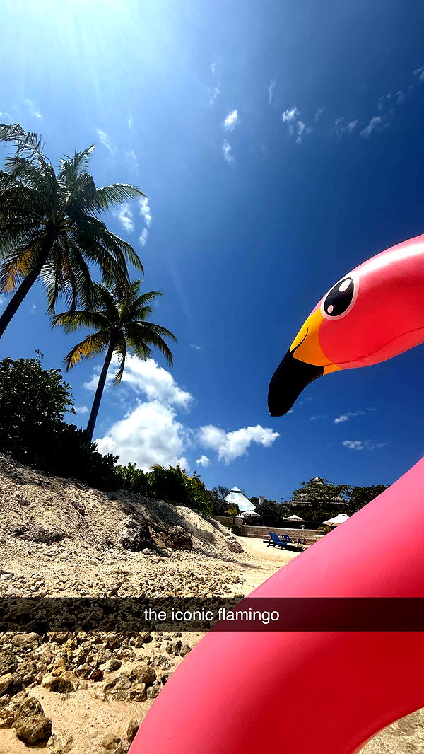 breckiehill image ~ Altpins