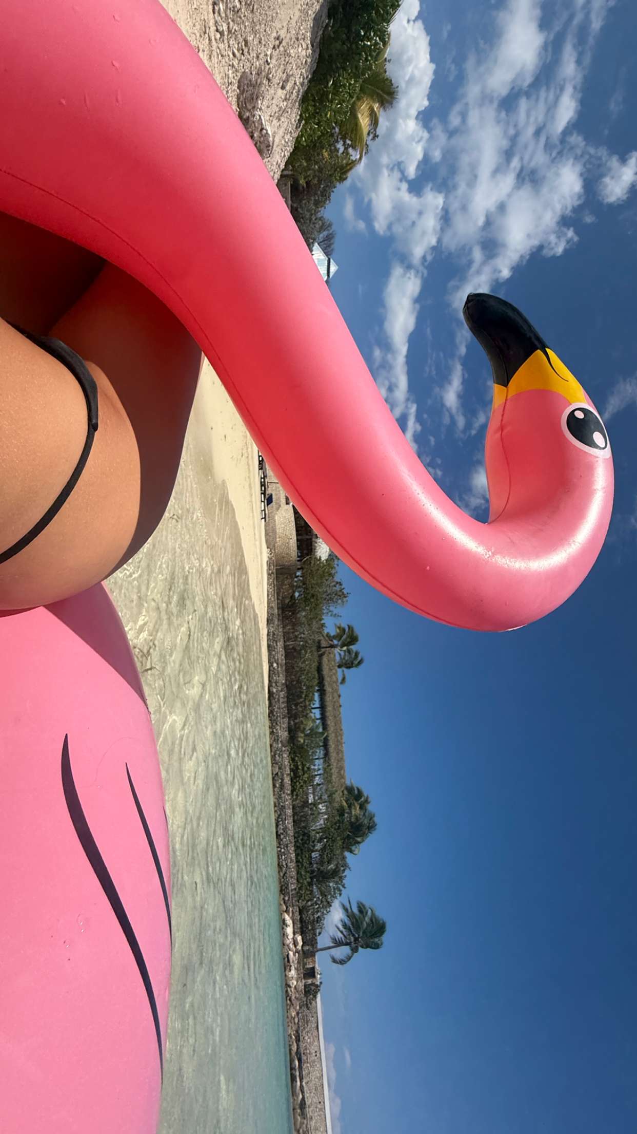 breckiehill snapchat image archive image