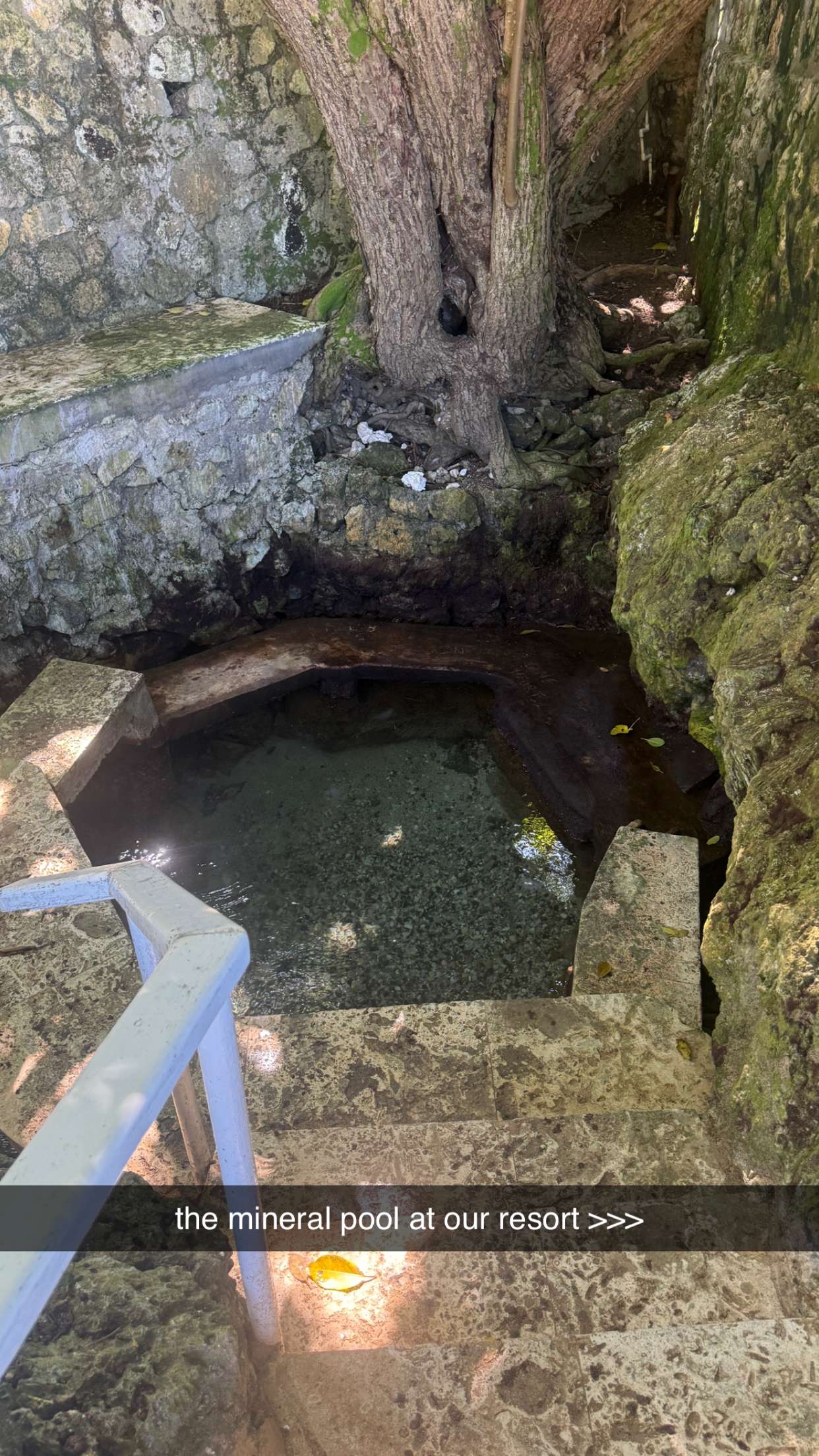 breckiehill snapchat image archive image