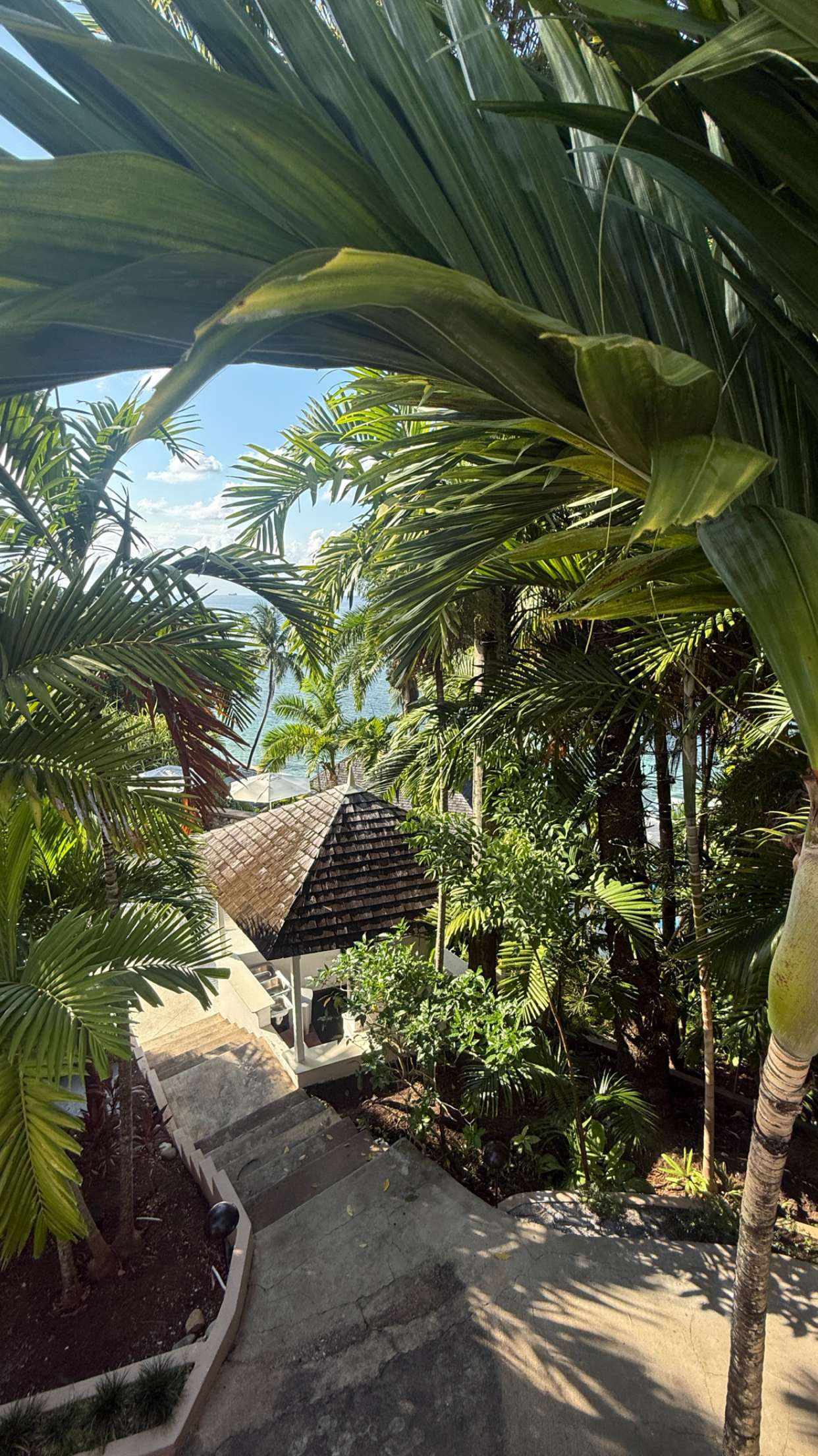 breckiehill snapchat image archive image