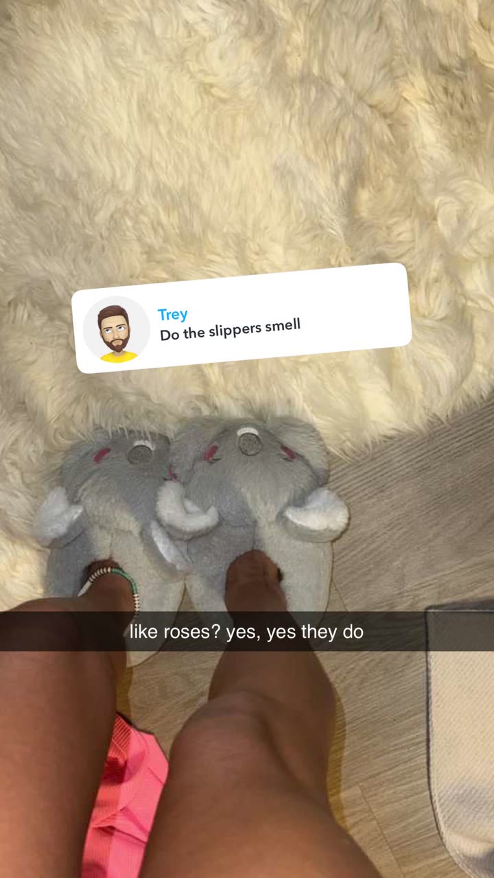 breckiehill snapchat image archive image