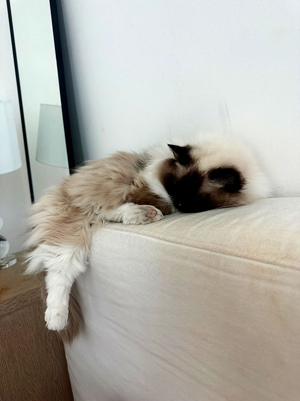 breckiehill image ~ Altpins