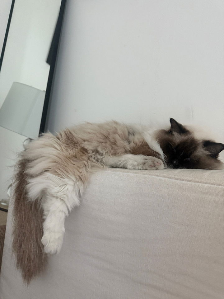 breckiehill snapchat image archive image