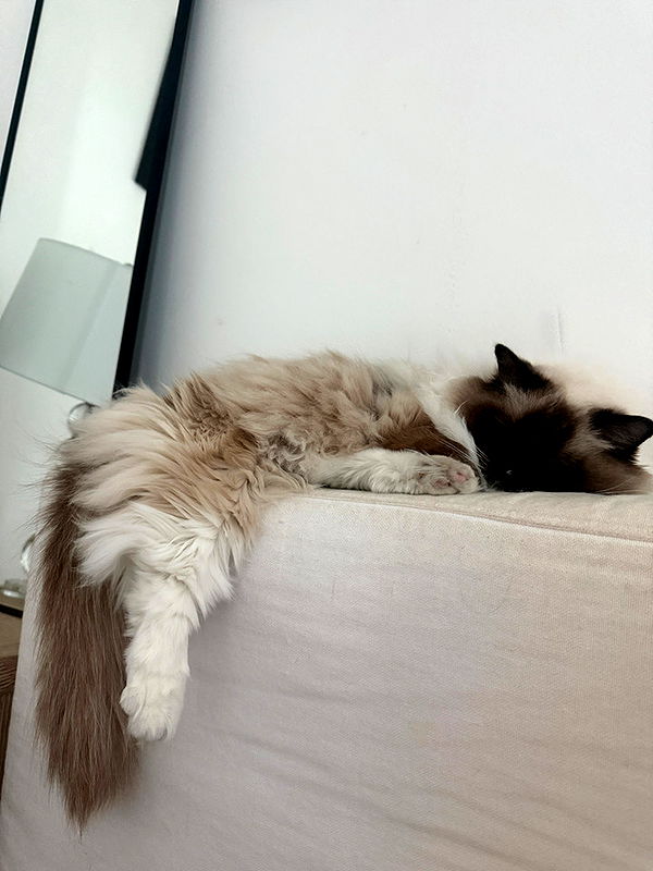 breckiehill image ~ Altpins