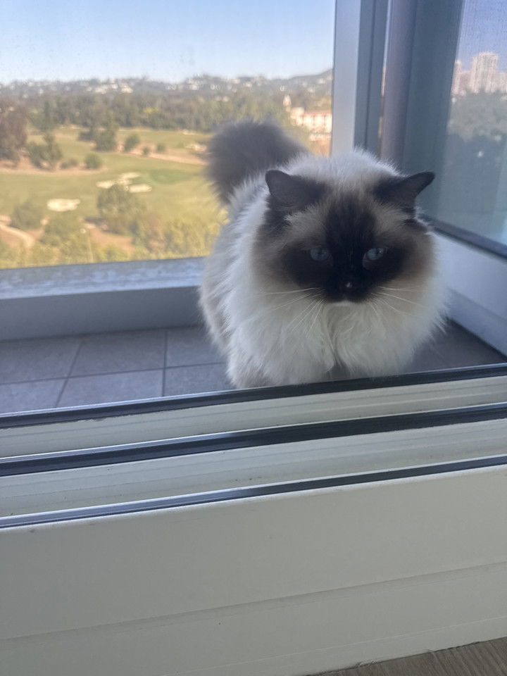 breckiehill snapchat image archive image