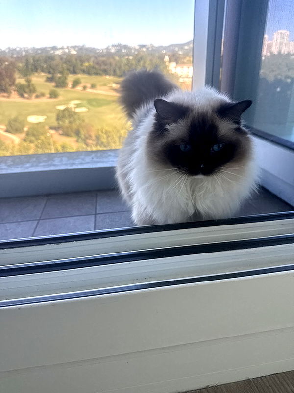 breckiehill image ~ Altpins