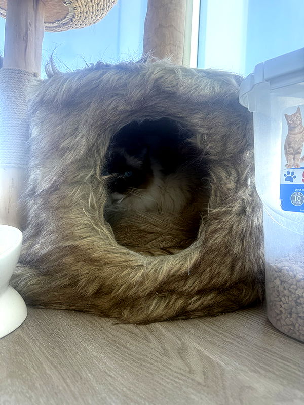 breckiehill image ~ Altpins