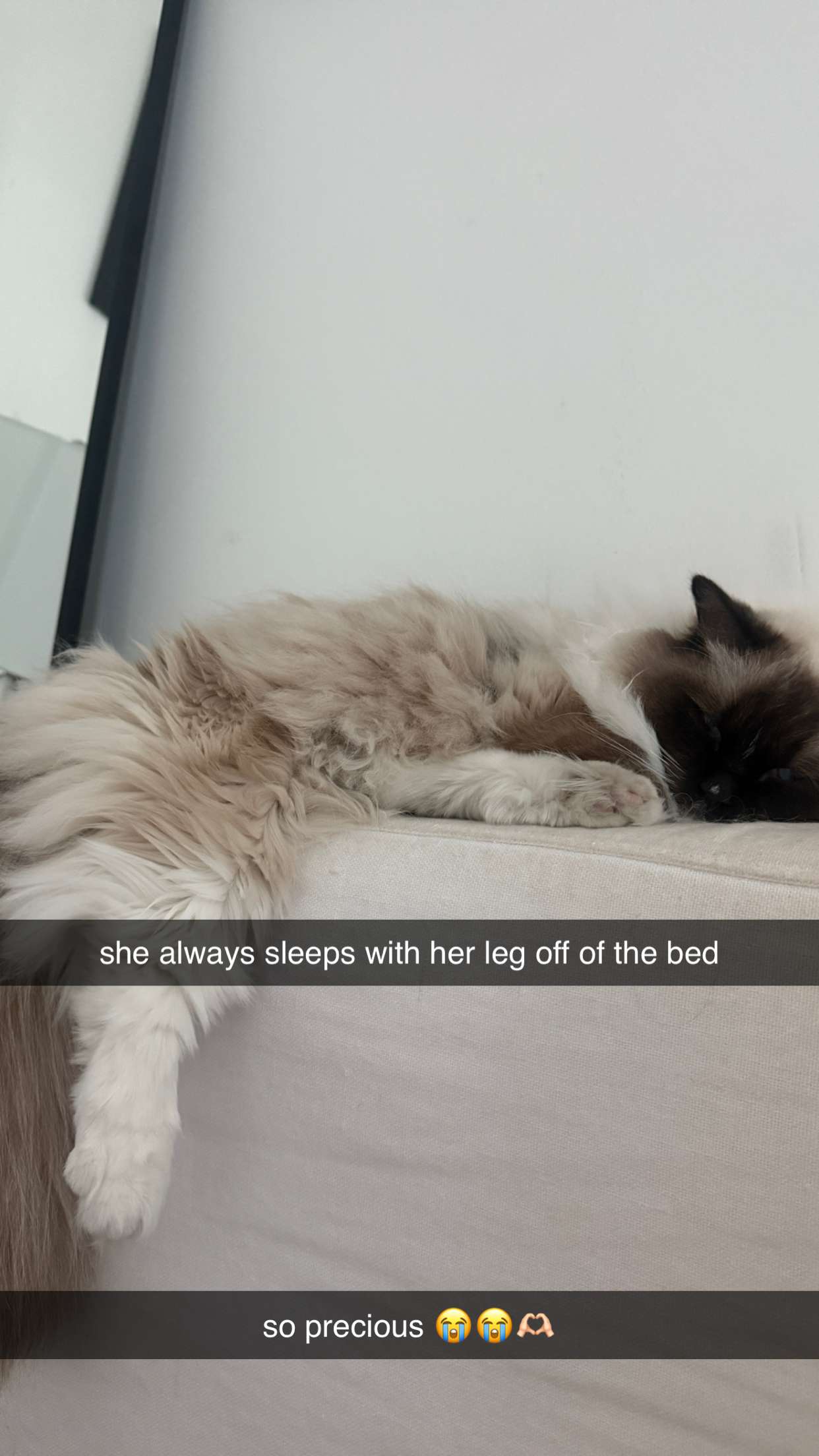 breckiehill snapchat image archive image