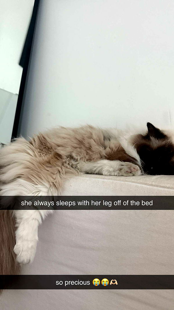 breckiehill image ~ Altpins