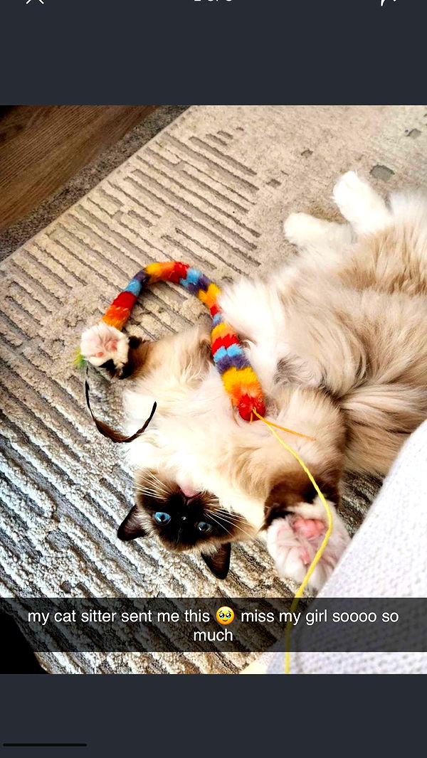 breckiehill image ~ Altpins