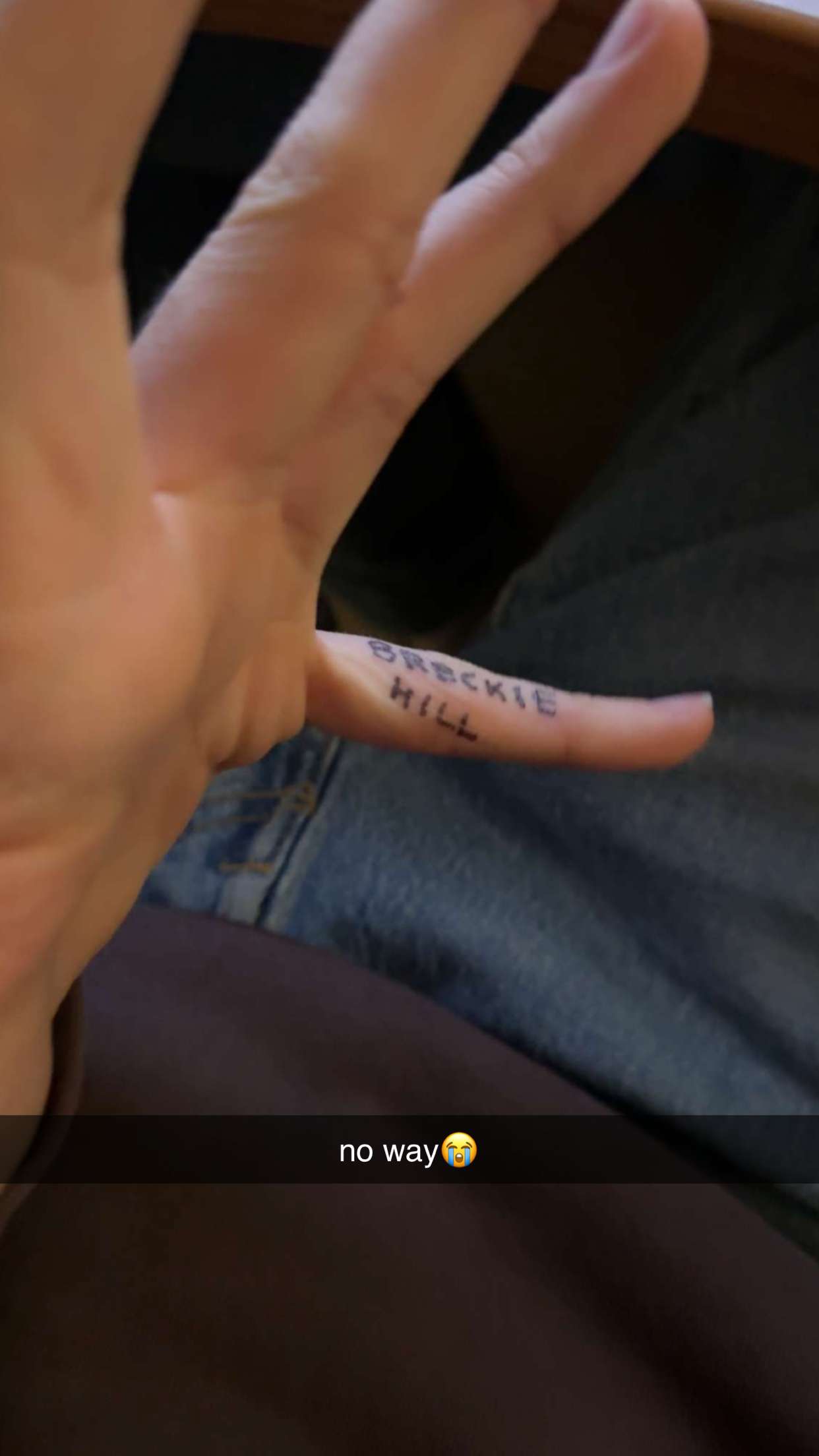 breckiehill snapchat image archive image