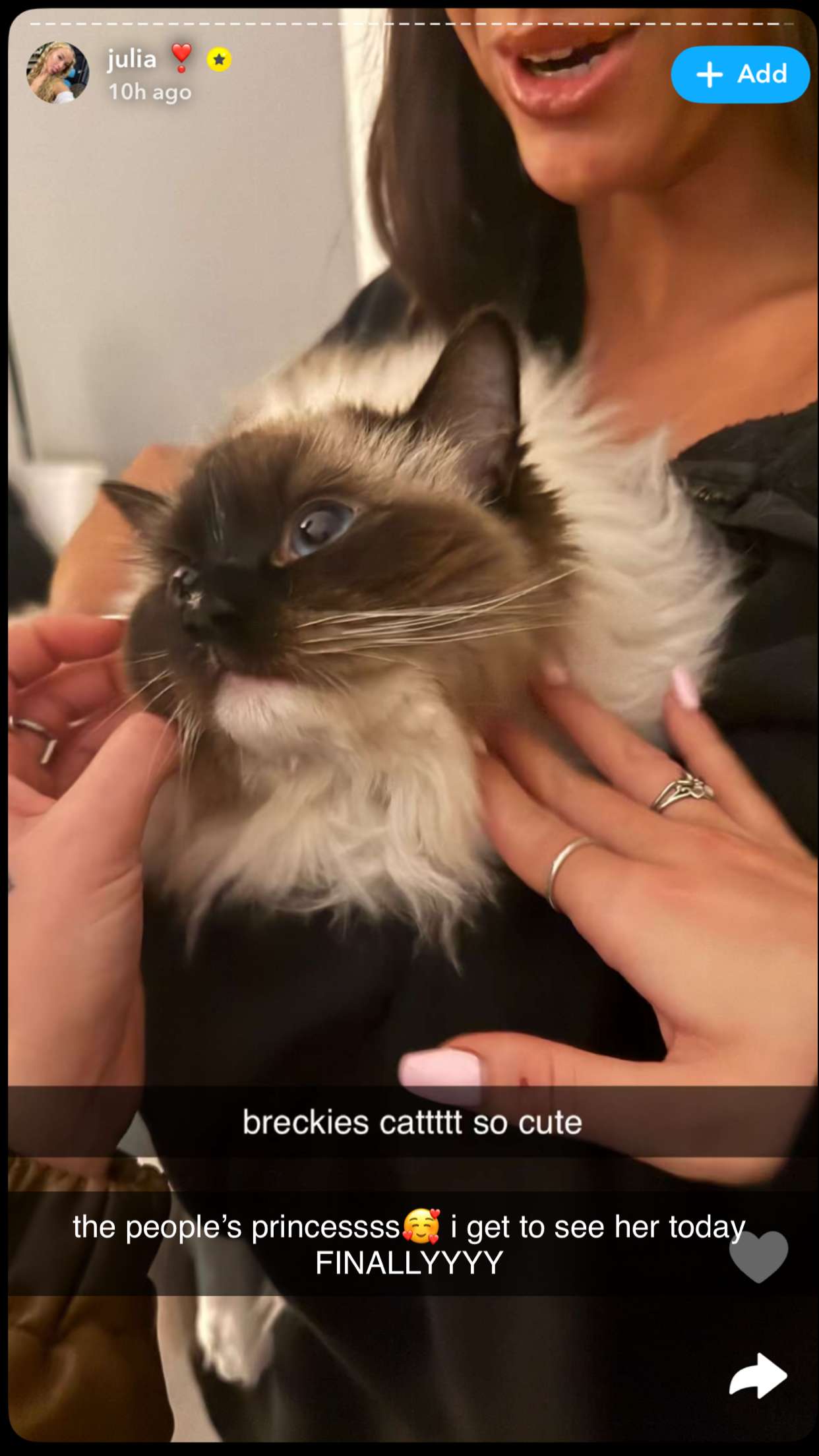 breckiehill snapchat image archive image