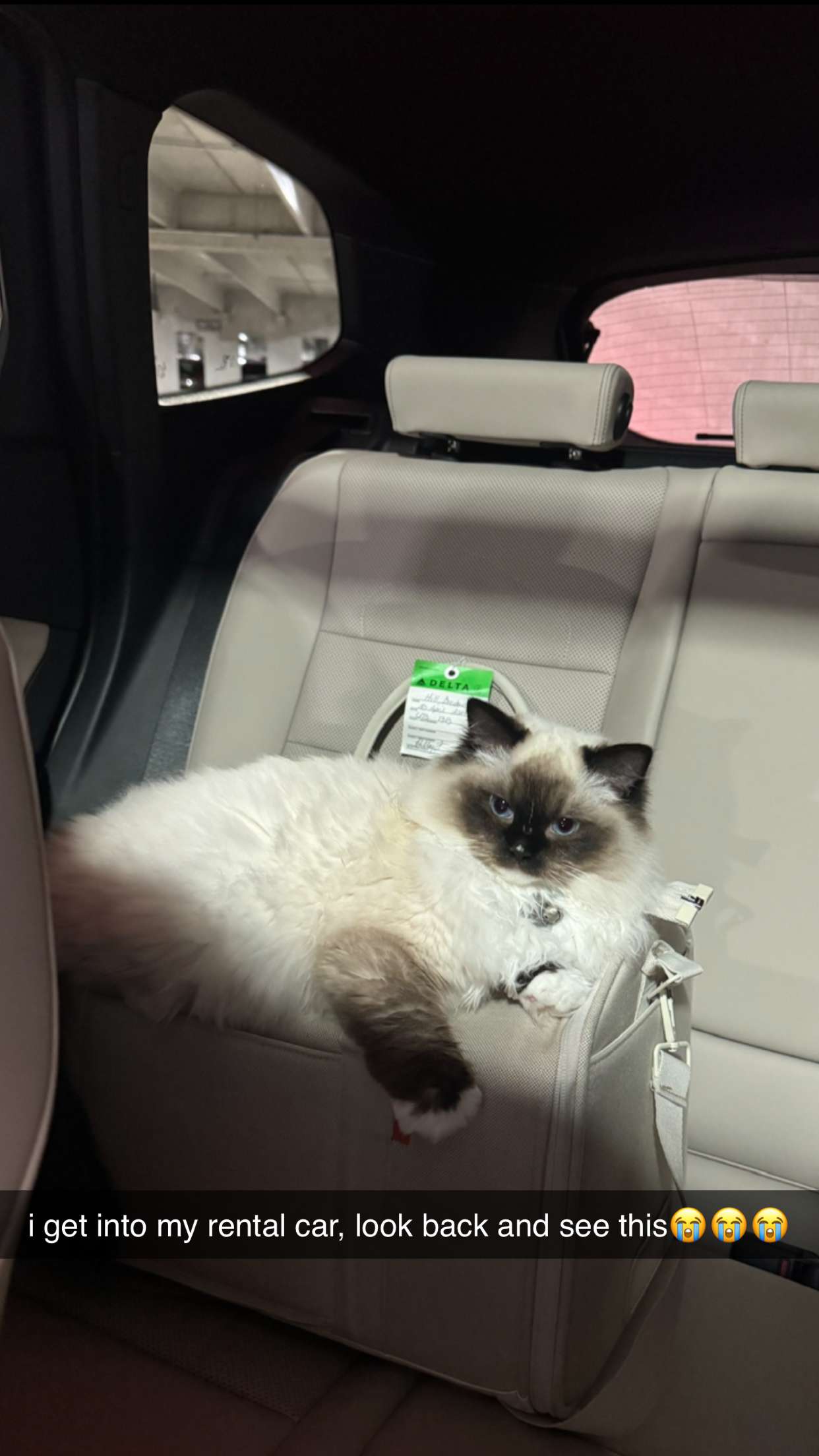 breckiehill snapchat image archive image