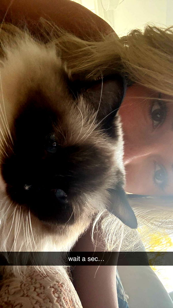 breckiehill image ~ Altpins