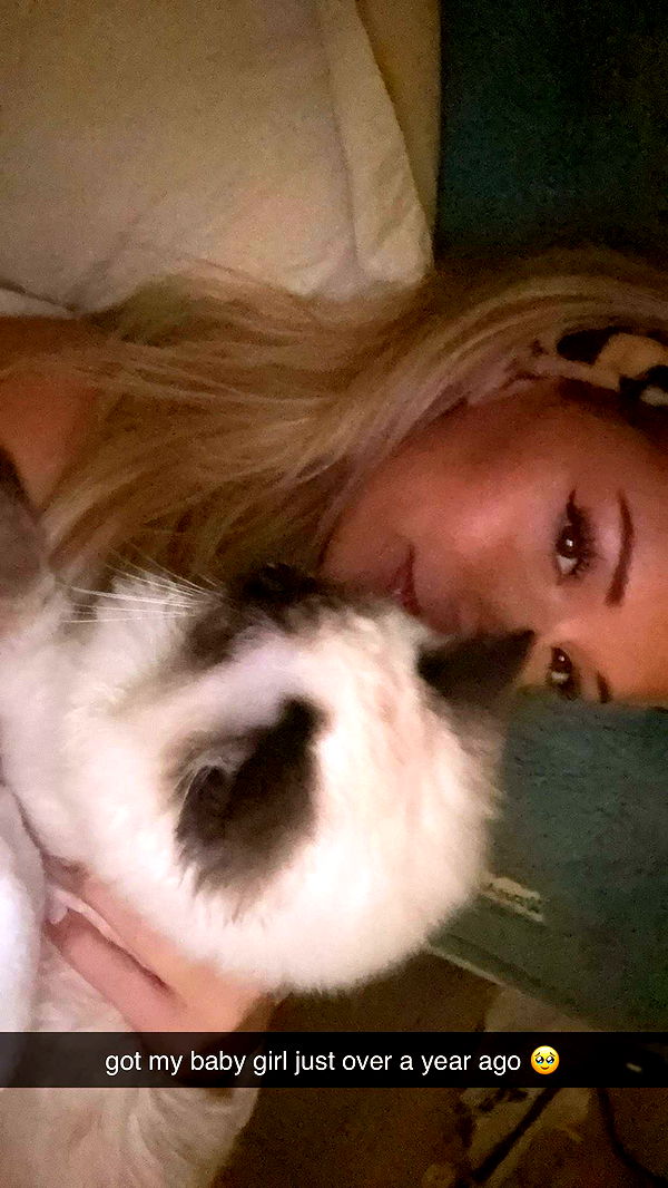 breckiehill image ~ Altpins