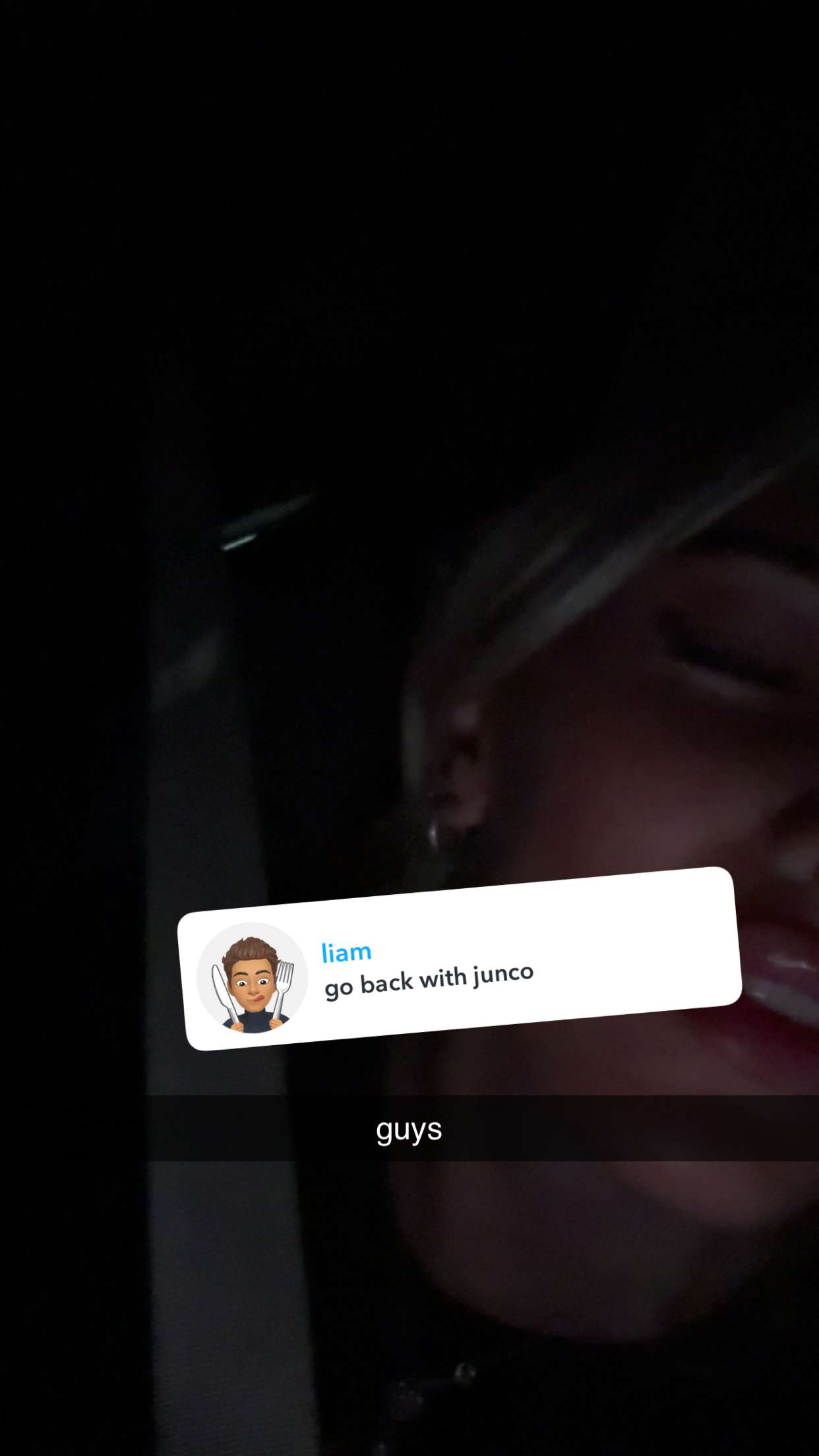 breckiehill snapchat image archive image