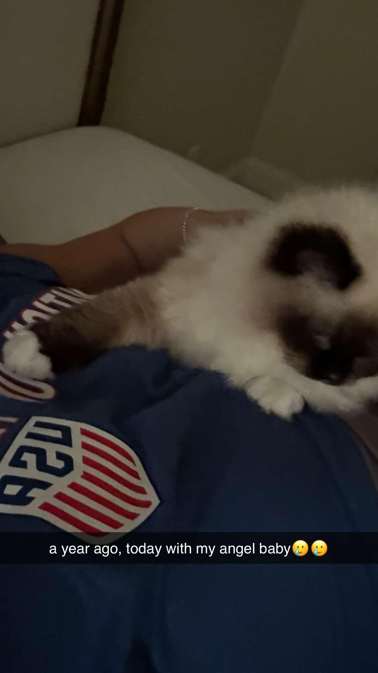 breckiehill snapchat image archive image