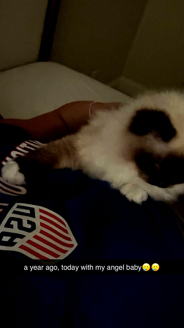 breckiehill image ~ Altpins