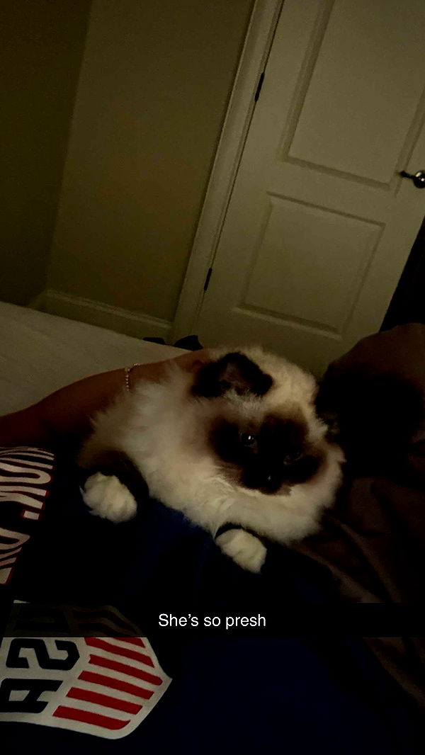 breckiehill image ~ Altpins