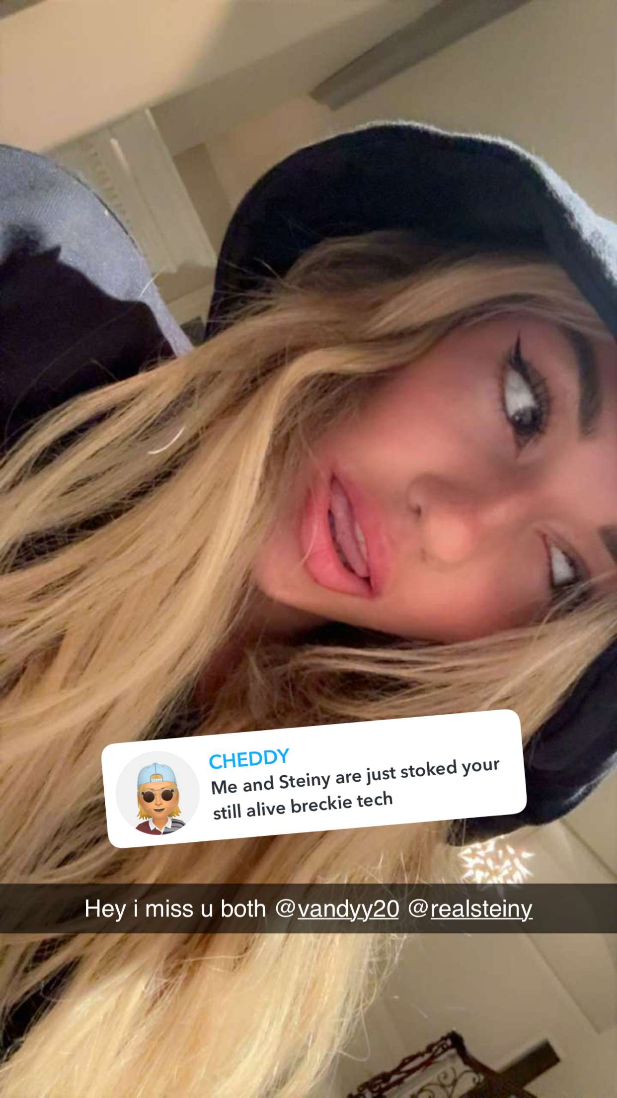 breckiehill snapchat image archive image