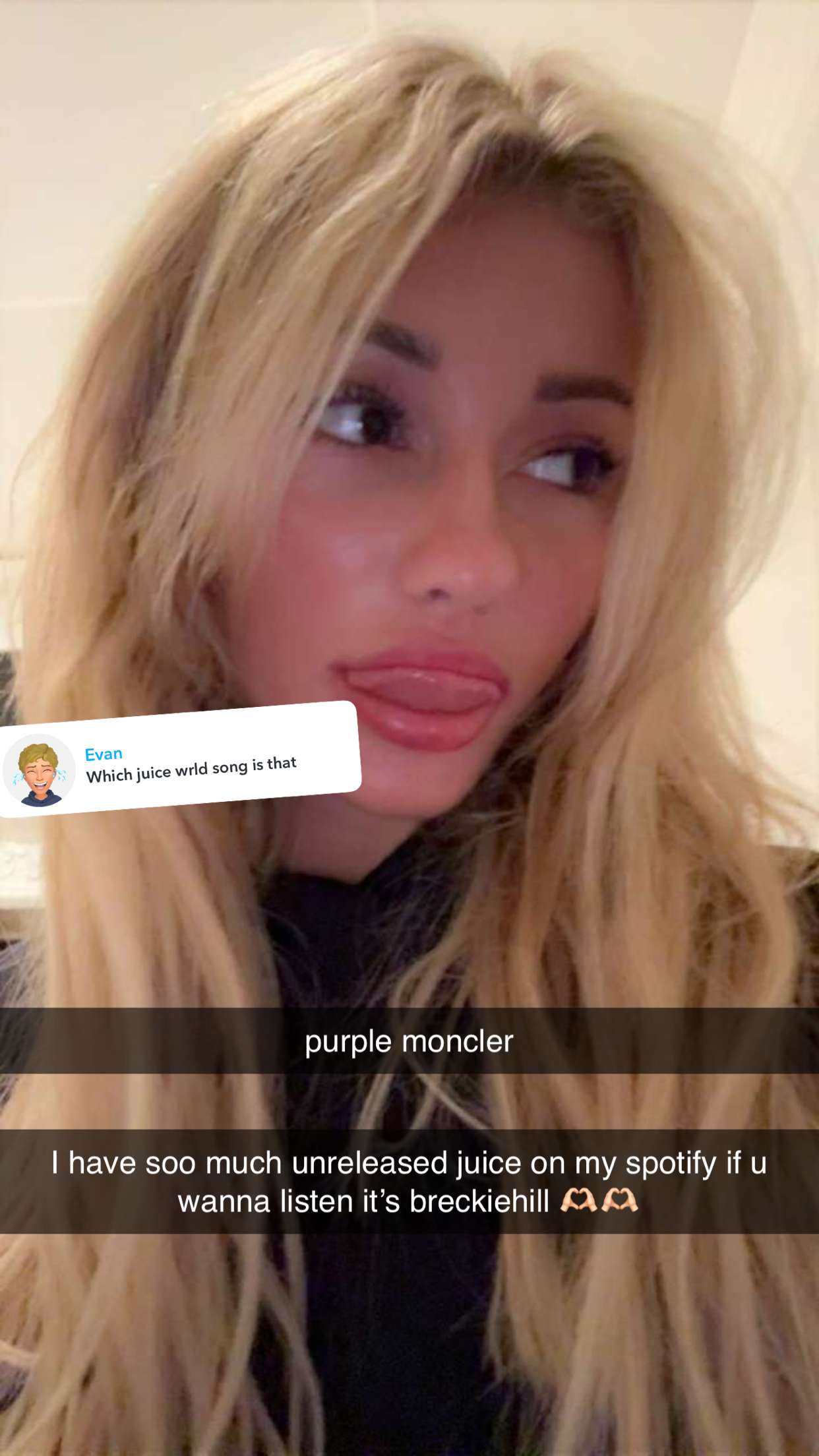 breckiehill snapchat image archive image