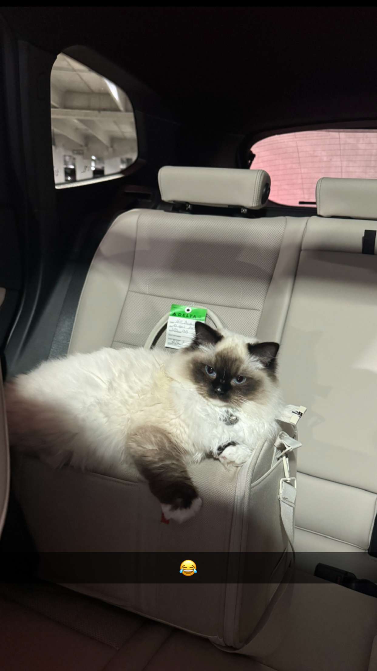 breckiehill snapchat image archive image